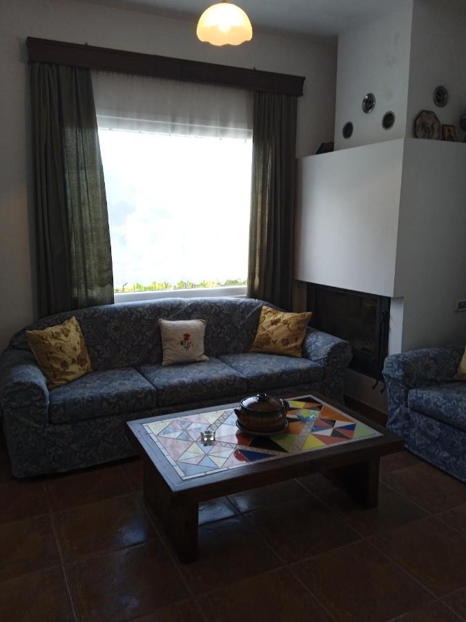 Aloni Villa Skopelos Town Bagian luar foto